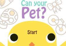 can-your-pet