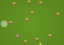 candy