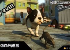 dog sim