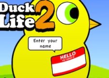 duck-life-2