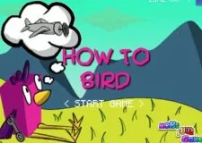 how to bird