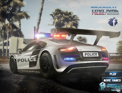 police-parking