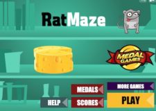 rat-maze