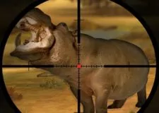 Classic Hippo Hunting