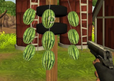 watermelon shoot
