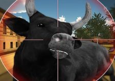 Bull Shooting