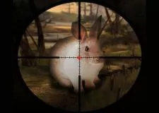 Classic Rabbit Sniper Hunting 2019