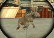 Rabbit Shooter