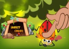 Insect Cush