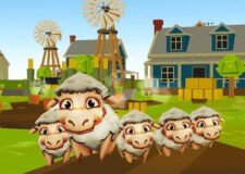 Sheeps farm
